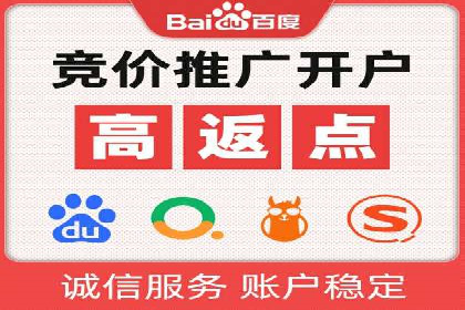 SEM托管服务，成功案例深度分析
